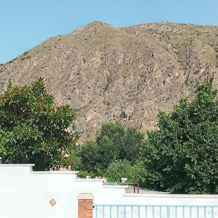 Recovery Mountain Homestay Alicante Exterior foto