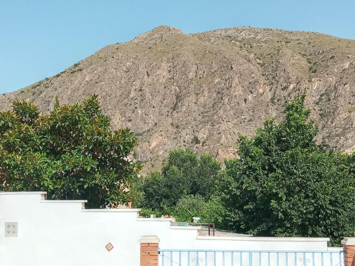 Recovery Mountain Homestay Alicante Exterior foto